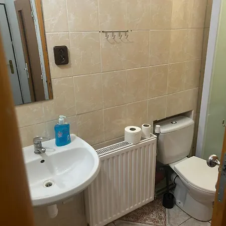 招待所 V Samem Centru Ostravy 俄斯特拉发