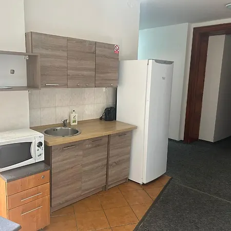 V Samem Centru Ostravy 招待所 俄斯特拉发