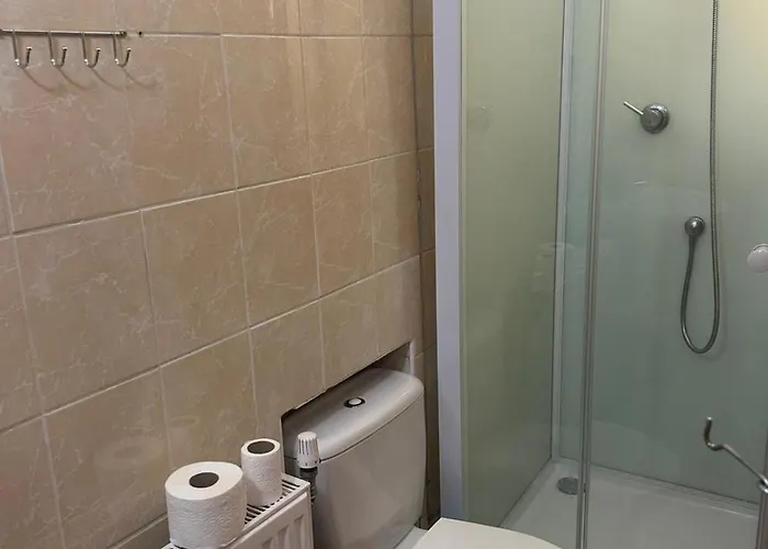 V Samem Centru Ostravy Guest house Ostrava