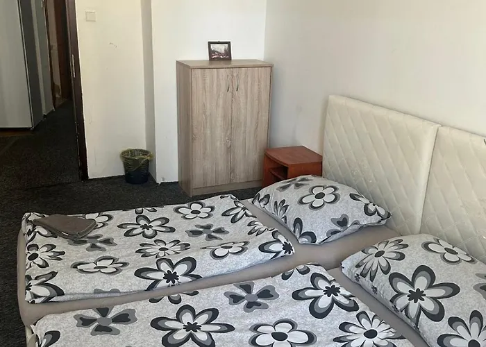 V Samem Centru Ostravy Guest house Ostrava